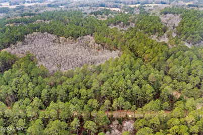Xxx Hawthorne Trail, Bonifay, FL 32425 - Photo 7
