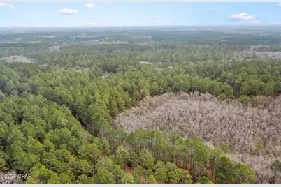Xxx Hawthorne Trail, Bonifay, FL 32425 - Photo 11