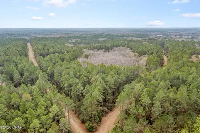 Xxx Hawthorne Trail, Bonifay, FL 32425 - Photo 9