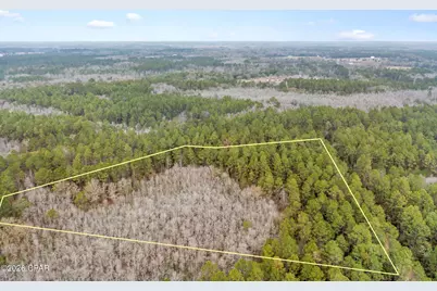 Xxx Hawthorne Trail, Bonifay, FL 32425 - Photo 5