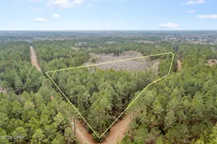 Xxx Hawthorne Trail, Bonifay, FL 32425 - Photo 1