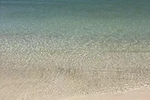 705 Secluded Dunes Dr, Port Saint Joe, FL 32456 - Photo 85