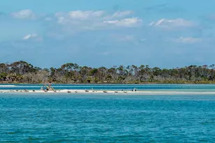 705 Secluded Dunes Dr, Port Saint Joe, FL 32456 - Photo 91