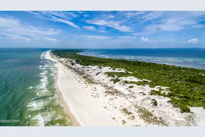 705 Secluded Dunes Drive, Port Saint Joe, FL 32456 - Photo 87