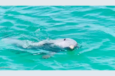 9902 S Thomas Drive #130, Panama City, FL 32408 - Photo 93