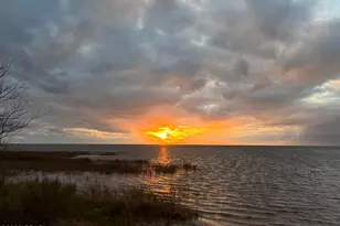 197 Palm Breeze Way, Port Saint Joe, FL 32456 - Photo 31