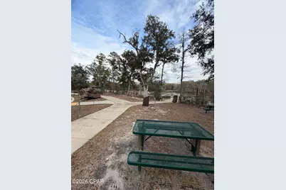 0 Big Cedar Road, Ponce de Leon, FL 32455 - Photo 7