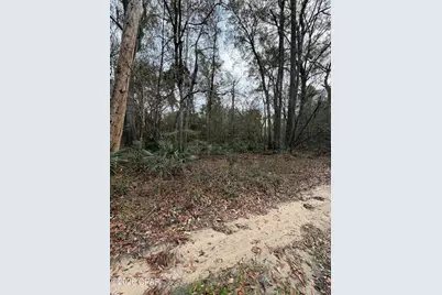 0 Big Cedar Road, Ponce de Leon, FL 32455 - Photo 3
