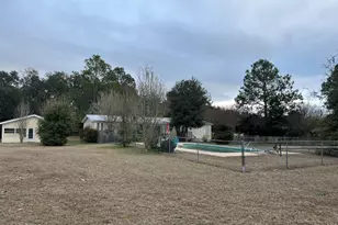 4465 Florida 71, Greenwood, FL 32443 - Photo 3