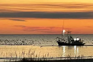 170 Gulf Pines Dr, Port Saint Joe, FL 32456 - Photo 77