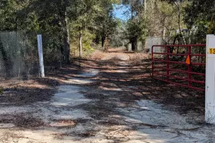 13920 Woodland Rd, Southport, FL 32409 - Photo 9