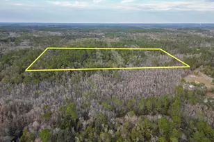 1853 Winterville Ln, Bonifay, FL 32425 - Photo 67