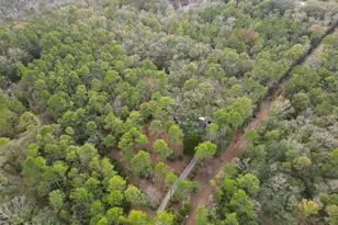 1853 Winterville Ln, Bonifay, FL 32425 - Photo 65