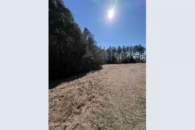 5023 Elmore Road, Graceville, FL 32440 - Photo 25