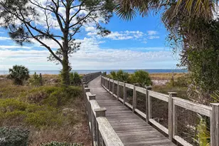 1051 Backwater Rd, Port Saint Joe, FL 32456 - Photo 49