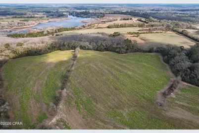 1704 Highway 179A, Westville, FL 32464 - Photo 5