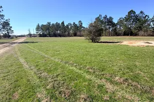 5806 Hansford Rd, Marianna, FL 32448 - Photo 1