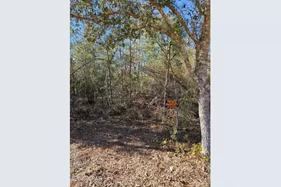 00 Monogahela Avenue, Alford, FL 32420 - Photo 5