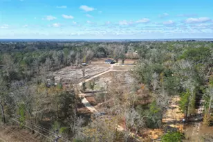 16989 NW Eg Buck Larkins Rd, Bristol, FL 32321 - Photo 29