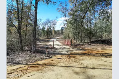 16989 NW Eg Buck Larkins Road, Bristol, FL 32321 - Photo 39