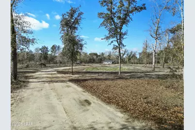 16989 NW Eg Buck Larkins Road, Bristol, FL 32321 - Photo 41