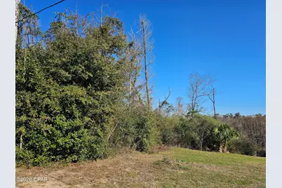000 Flynt Drive, Marianna, FL 32446 - Photo 3