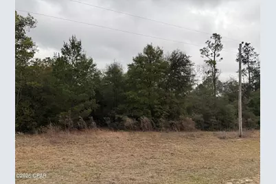 000 Russell Avenue, Alford, FL 32420 - Photo 1