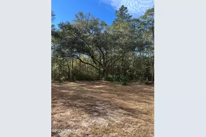 00 Orchid Lane, Freeport, FL 32439 - Photo 1