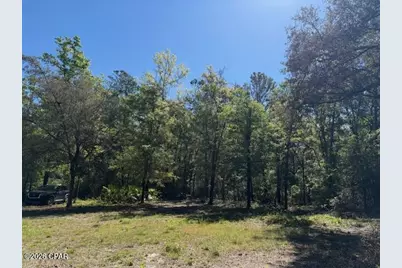 00 Orchid Lane, Freeport, FL 32439 - Photo 5