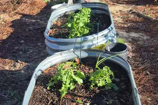 2739 Bellaire Ct, Alford, FL 32420 - Photo 23