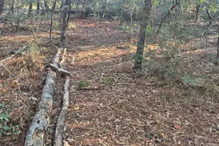 2739 Bellaire Ct, Alford, FL 32420 - Photo 29