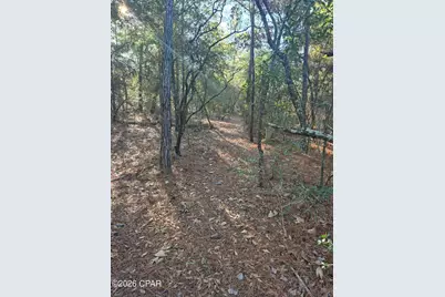 2739 Bellaire Court, Alford, FL 32420 - Photo 25