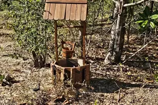 2739 Bellaire Ct, Alford, FL 32420 - Photo 41