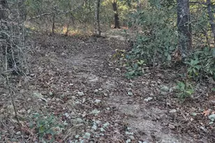 2739 Bellaire Ct, Alford, FL 32420 - Photo 27