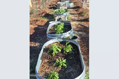 2739 Bellaire Court, Alford, FL 32420 - Photo 33