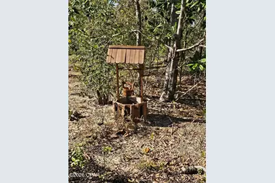 2739 Bellaire Court, Alford, FL 32420 - Photo 45