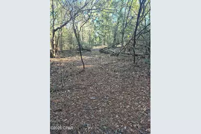 2739 Bellaire Court, Alford, FL 32420 - Photo 27