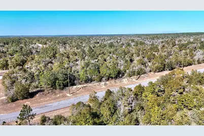 0000 Hampshire Boulevard #Lot 29, Chipley, FL 32428 - Photo 5