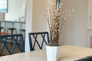 135 Saltspray Ct, Port Saint Joe, FL 32456 - Photo 9