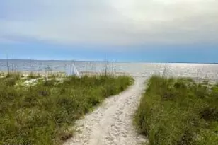 135 Saltspray Ct, Port Saint Joe, FL 32456 - Photo 45