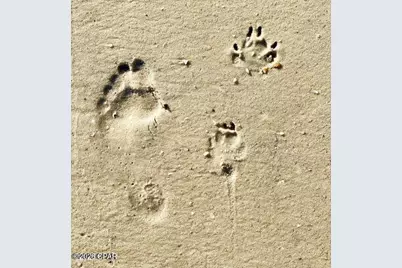 135 Saltspray Court, Port Saint Joe, FL 32456 - Photo 47