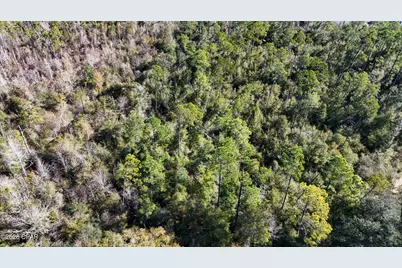 0000 White Pond Church Road, Alford, FL 32420 - Photo 5