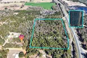 2424 White Pond Church Rd, Alford, FL 32420 - Photo 23