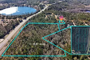 2424 White Pond Church Rd, Alford, FL 32420 - Photo 31