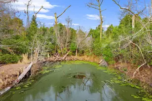 5203 E 4th St, Panama City, FL 32404 - Photo 49