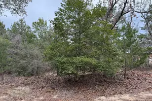 3100 Bonnett Pond Rd, Chipley, FL 32428 - Photo 39