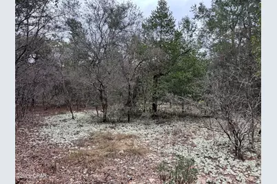 3100 Bonnett Pond Road, Chipley, FL 32428 - Photo 45