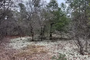 3100 Bonnett Pond Rd, Chipley, FL 32428 - Photo 45