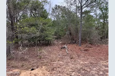 3100 Bonnett Pond Road, Chipley, FL 32428 - Photo 41