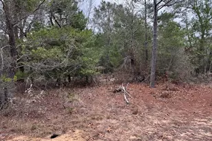 3100 Bonnett Pond Rd, Chipley, FL 32428 - Photo 41